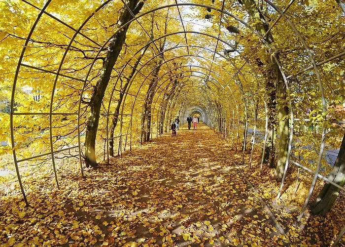 Grey & * 코워브제크